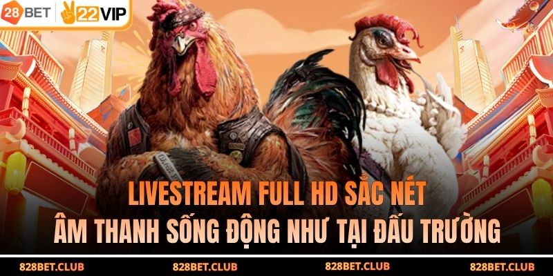 Livestream Full HD sắc nét, âm thanh sống động như tại đấu trường